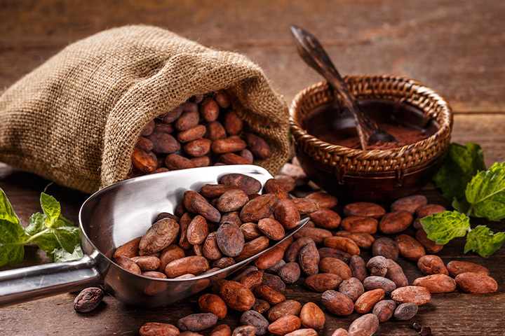 Paper from cacao husks? Waste Recycling Packaging