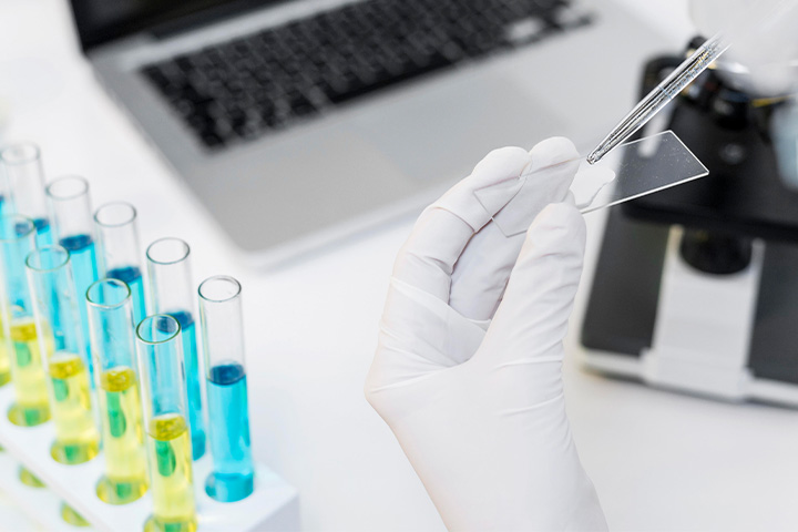 Research on useful microbial materials through the establishment of an in-house strain DB