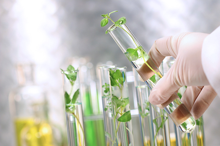 Development of individually recognized materials through the establishment of a natural product resource DB